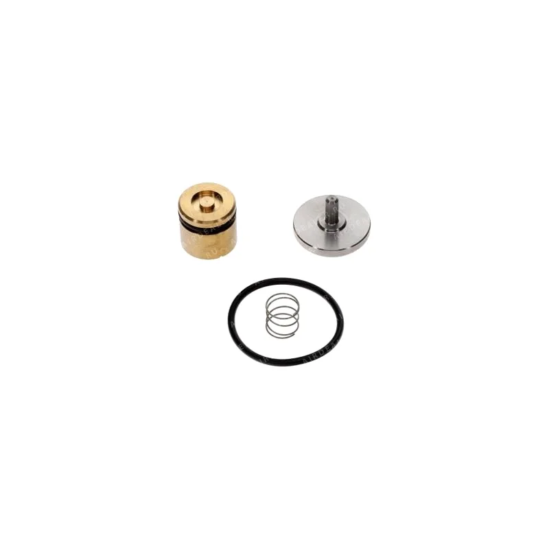 6259086700 - KIT VPM GARBAGNATI GMP 3/4 FOR OIL INJECTED SCREW COMPRESSOR