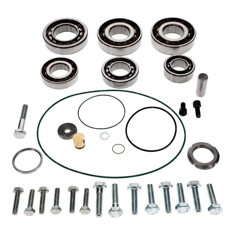 2901195900 - KIT ELEMENT OVERHAUL FOR OIL INJECTED SCREW COMPRESSOR