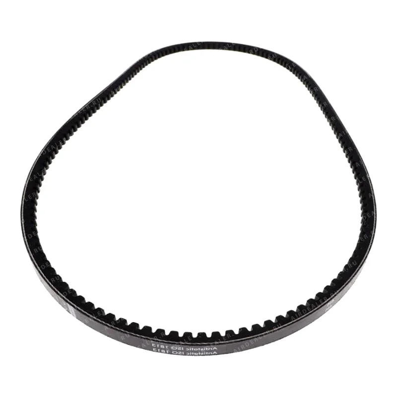 2205454504 - BELT FOR OIL INJECTED SCREW COMPRESSOR