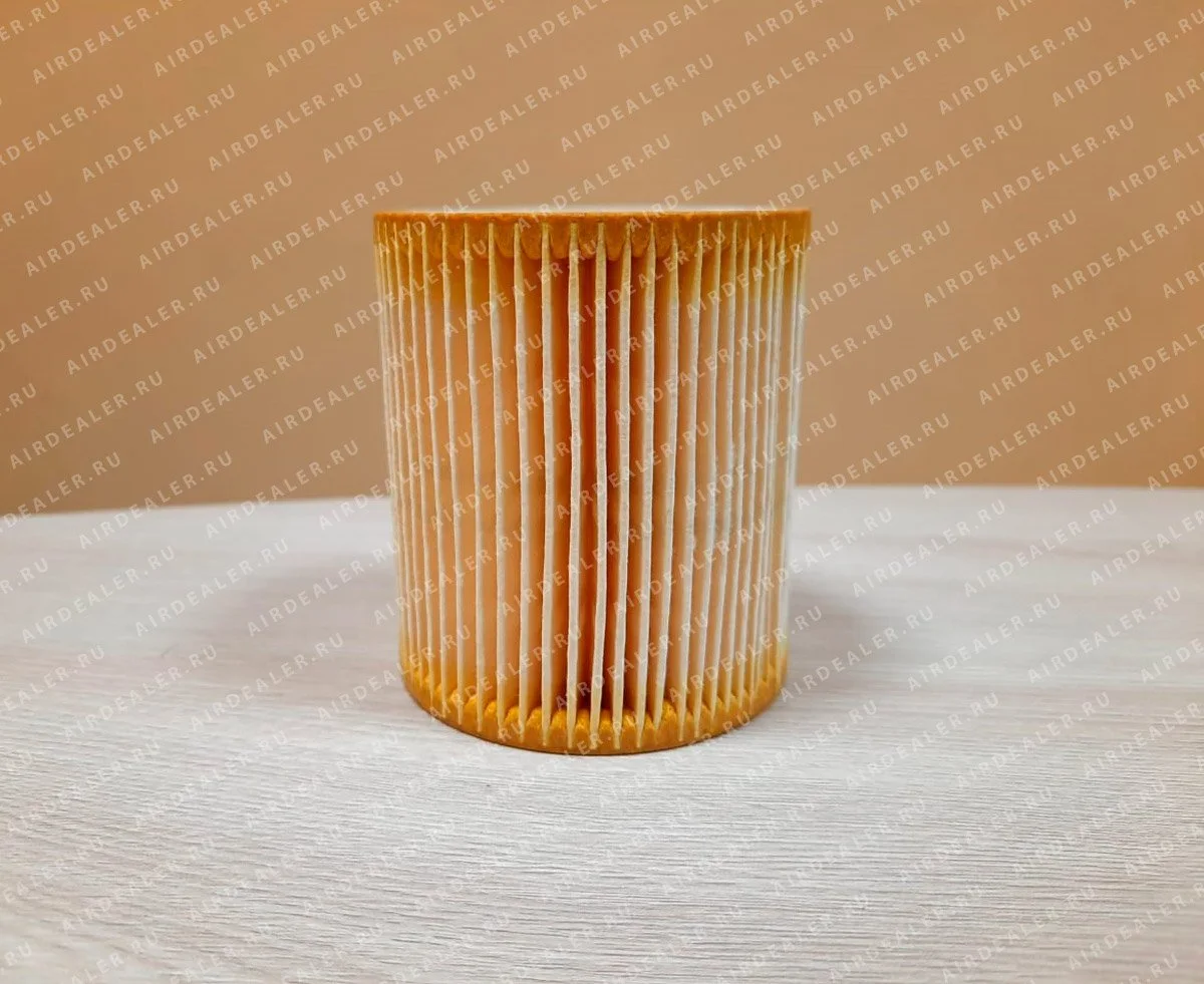 3001500519 - AIR FILTER ELEMENT LELY