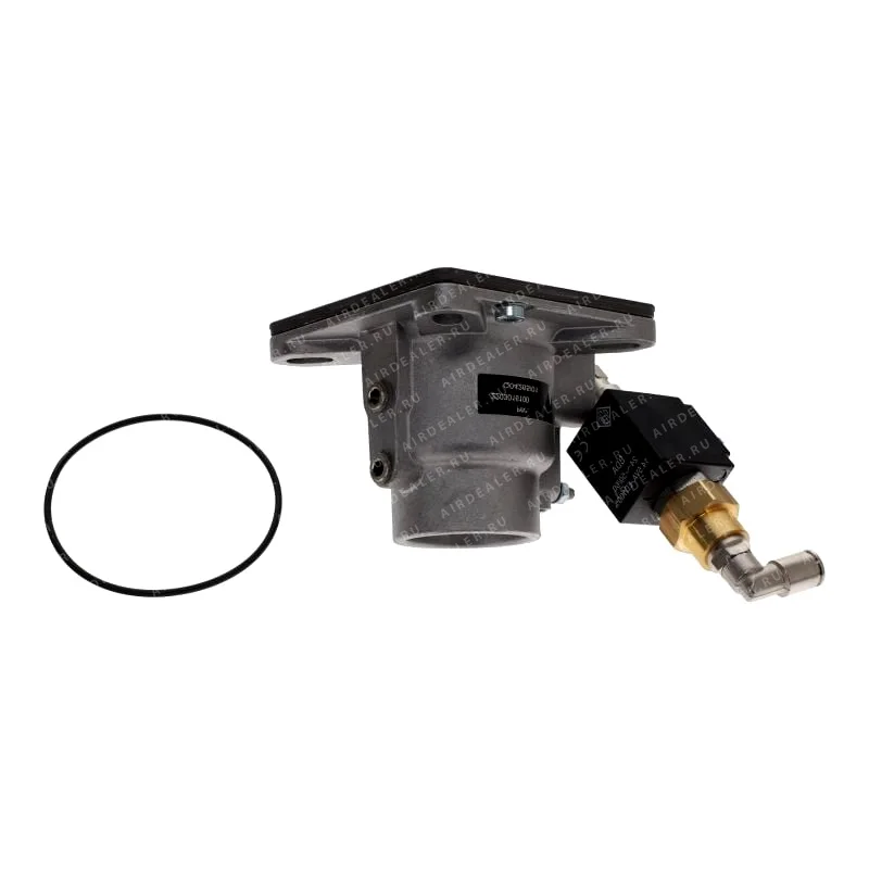 2203016100 - INTAKE VALVE RH38E/D.1.7 C55