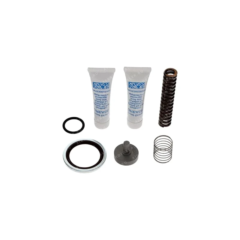 2901141100 - KIT FOR OIL INJECTED SCREW COMPRESSOR